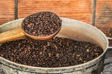 coffee beans in a wooden scoop