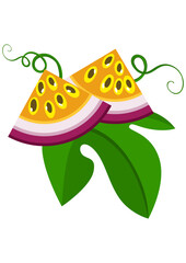 Passion fruit slices with green leaves