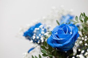 Bouquet with medium blue roses on neutral background, copy space