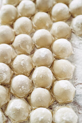 Fototapeta na wymiar dough for baking pelmeni
