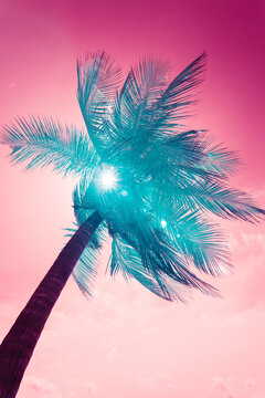 infrared abstract colorful palm