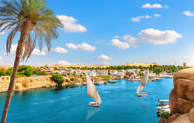 Aerial view on Aswan villages by the Nile behind the palm, Egypt