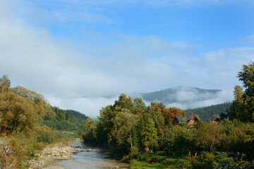 Beautiful burrowing landscape. Foggy morning