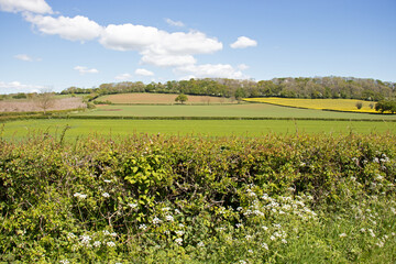 Countryside scenery in the UK.