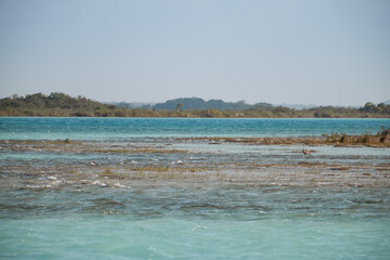 Scenic view over the lagoon of Bacalar, Mexico
