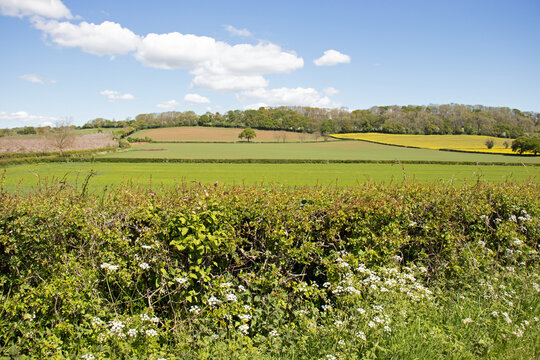 Countryside scenery in the UK.