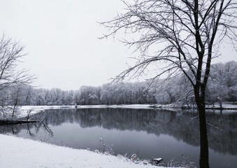 landscape with river