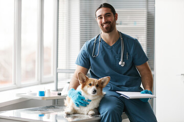 Happy young successful veterinarian with welsh pembroke corgi dog