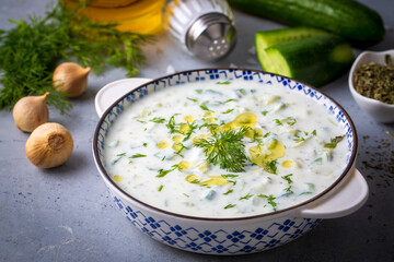 Traditional delicious appetizer; tzatziki (Turkish name; cacik)
