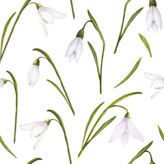 Fototapeta na wymiar Seamless pattern with watercolor illustration of snowdrops on white background