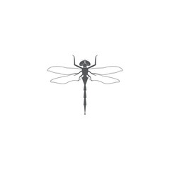 dragonfly icon symbol sign vector