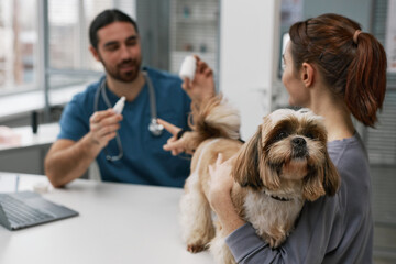 Young woman holding yorkshire terrier while sitting in front of vet clinician