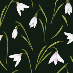 Obraz premium Seamless pattern with watercolor illustration of snowdrops on dark background