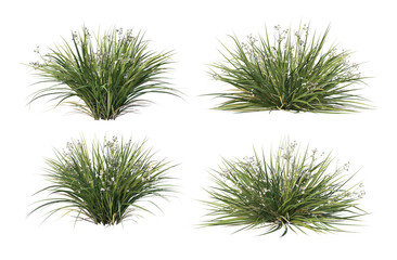 3d render a variety of plants and grasses.