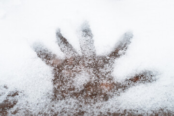 Five fingers hand imprint on fresh winter snow in Novi Sad Serbia
