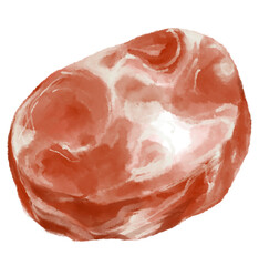 Raw Pork belly slice Korean BBQ digital hand painting illustration