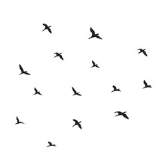 silhouettes of black birds in flying flock