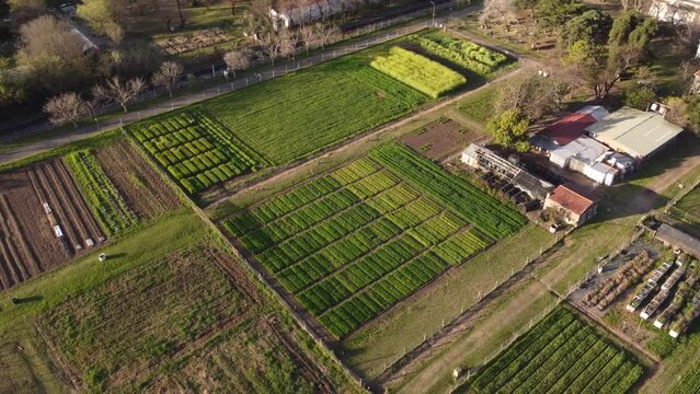 A dynamic wide-angle aerial shot of the sunset over a vegetable plot farm in Agronomia, Buenos Aires. These are long gardens where vegetables, herbs and fruit are grown for household or business use.