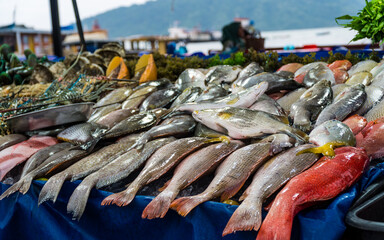 Variety of fresh colorful fish in Kota Kinabalu, Malaysia market near the ocean.