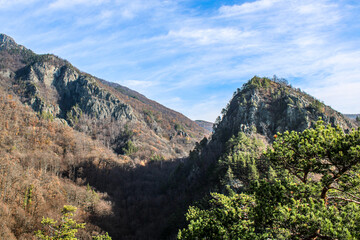 landscape in the carpathian mountains, romania