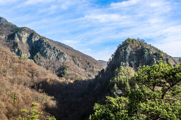 Obraz premium landscape in the carpathian mountains, romania