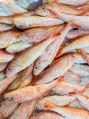 Close up shot of fresh fish selling in the market