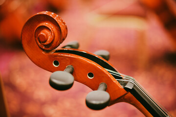 Cello scroll on headstock © bizoo_n