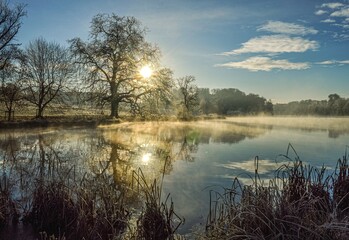 morning on the lake