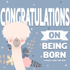 Happy Birthday card. Congratulations on being born a long time ago. White furry alpaca on blue background with flowers