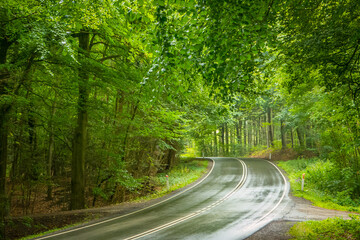 Obraz premium Wet road