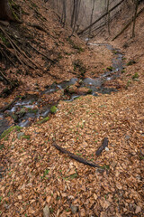 Valley with flowing river and foliage.