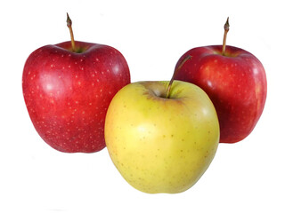 a group of colorful apple fruits