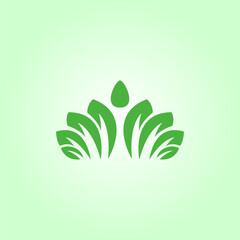 hand holding green leaf