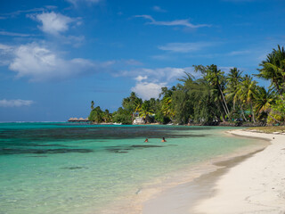 Fototapeta na wymiar Tahiti island palm beach, French Polynesia