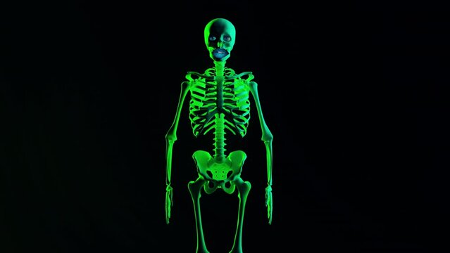 Skeletons Talking Images – Browse 3,167 Stock Photos, Vectors, and Video |  Adobe Stock