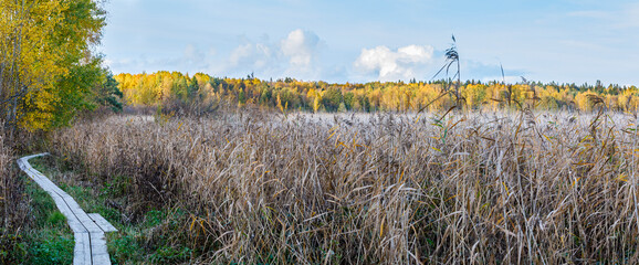Boardwalk through hay field in autumn