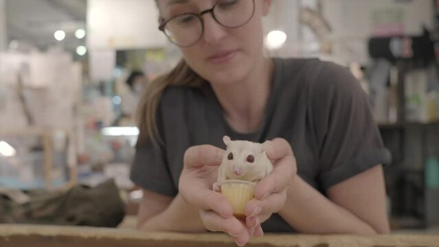 This video shows shows a woman holding a sugar glider in her hands while it eats a fruit cup.