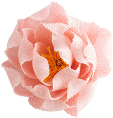 Isolated single paper flower peony made from crepe paper - 565400194
