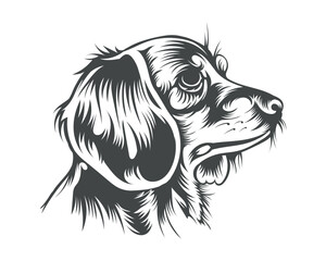 Dachshund Dog Breed Vector Illustration, Dachshund Dog Vector on White Background for t-shirt, logo, and others