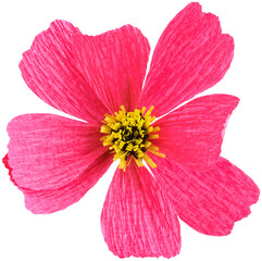 Isolated single cosmos paper flower made from crepe paper