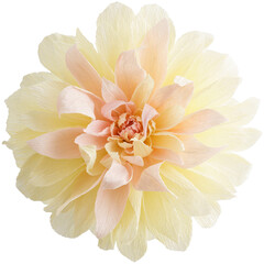 Isolated single paper flower dahlia made from crepe paper - 565403519