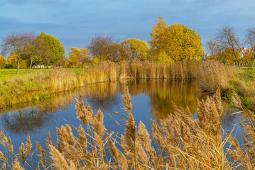 Autumn landscape on the shore of a reservoir .