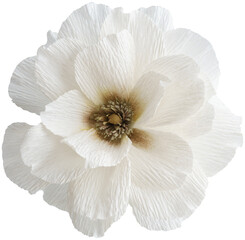 Isolated single paper flower iceberg floribunda rose made from crepe paper - 565403594