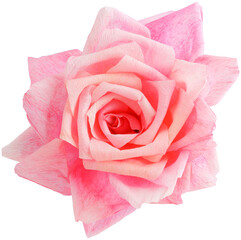Isolated single paper flower rose made from crepe paper