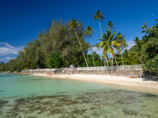 Tahiti island palm beach, French Polynesia