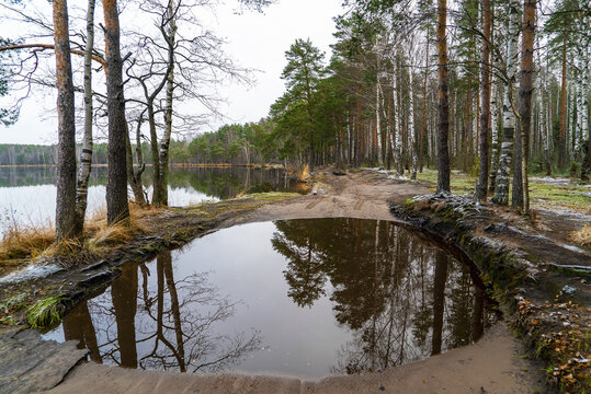 A deep puddle on the road along the lake in autumn .