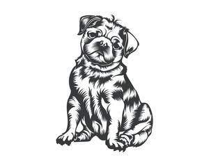 Pug Dog Breed Vector Illustration, Pug Dog Vector on White Background for t-shirt , logo, and others