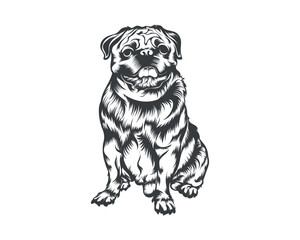 Pug Dog Breed Vector Illustration, Pug Dog Vector on White Background for t-shirt , logo, and others