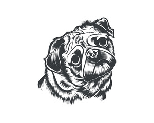 Pug Dog Breed Vector Illustration, Pug Dog Vector on White Background for t-shirt , logo, and others