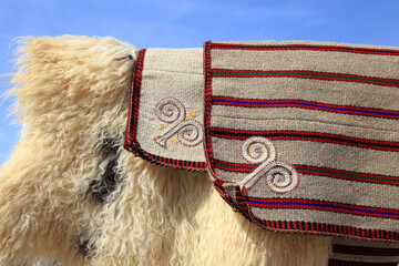 Handmade bags for storing bread and sheepskins against the sky.  Turkmenistan. Ashkhabad market. - 565406383
